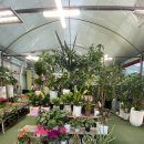 보라꽃화원 이미지