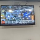문가낙지