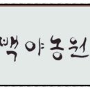 팁팁스토어
