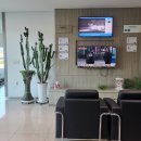 영동 현대 서비스 이미지