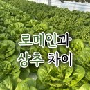 로메인
