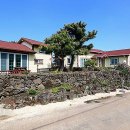 늘푸른하우스 이미지