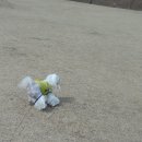 우리봄이네 이미지