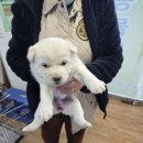 인월동물병원 이미지