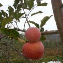 자연-어울림 이미지