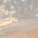 멀버리힐스, 대도식당 이미지