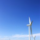 노송목장 이미지