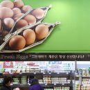 설호사 브런치