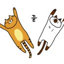 미술심리상담사 초급과정 이미지