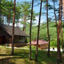 금강송통나무황토집 이미지