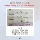 비엘티의원 | 고도비만 체중감량 비엘티의원 다이어트약 처방 지방분해주사 후기