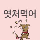 타이어프로 우정점 | 호주여행을 낋여옴1