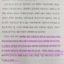 안녕당신 | 당신의 일은 안녕하십니까 독서후기