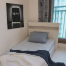 [내돈내산 리뷰]여름 잘산템! 국산100% 풍기인견 이불 후기