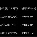투수의 체격 이미지
