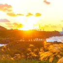 1.8km 따라 걷다 노을 터지는 현지인 숨은 명소 이미지