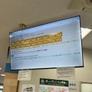 강이있는풍경 | 교토아라시야마 호즈강 뱃놀이 후기ㅣ예약 방법·소요시간·코스