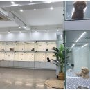 마리켄넬 이미지