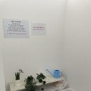 스튜디오인 이미지