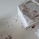 조선호텔 블랙포레스트 케이크🎂 새콤달콤 후기