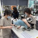 동백동물병원