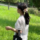 수니아 이미지