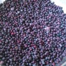 비당농장 이미지