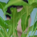 통영스테이 이미지