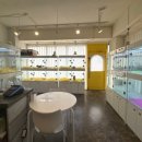 펫퍼스트24시 서울송파점 강아지고양이분양말티푸말티즈푸들 이미지