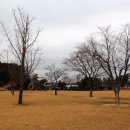 다사공원 이미지