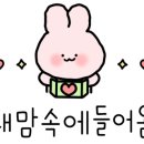 래쉬아트살롱 이미지