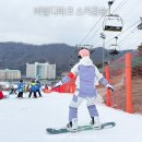 비발디 | 비발디파크 스키강습 비발디스키아카데미 후기 스키장 가격