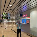 동양카부분정비 | 나트랑 출국 패스트트랙 렌트카 후기 공항 첫 단추 필수