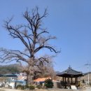 단곡1리 이미지