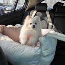 모멍트 이미지