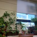 선우내과의원 이미지