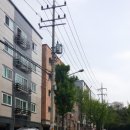 성호로11길1 네이버블로그