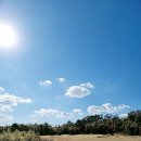 맛이나식당 이미지