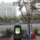 풍년제과(신시가지점)