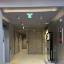 해바라기가맥 | 케이스티파이 도산점 무라카미 에디션 내돈내산 구매후기 블랙프라이데이