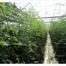 새늘농원 이미지