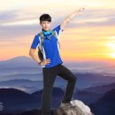 SBR유통