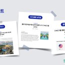 첼로-기초(주간) 이미지