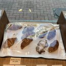 오너비(Owner.B) 이미지