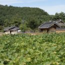 유산마을회관 이미지