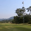 노벨CC골프연습장 이미지