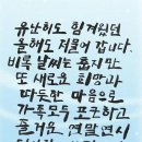 베스텍