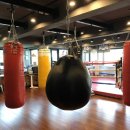 뱅뱅 복싱클럽 이미지