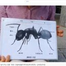 민들레샘물 지역아동센터 이미지