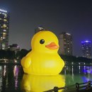 행복물산 이미지